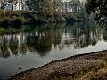 adda (4)